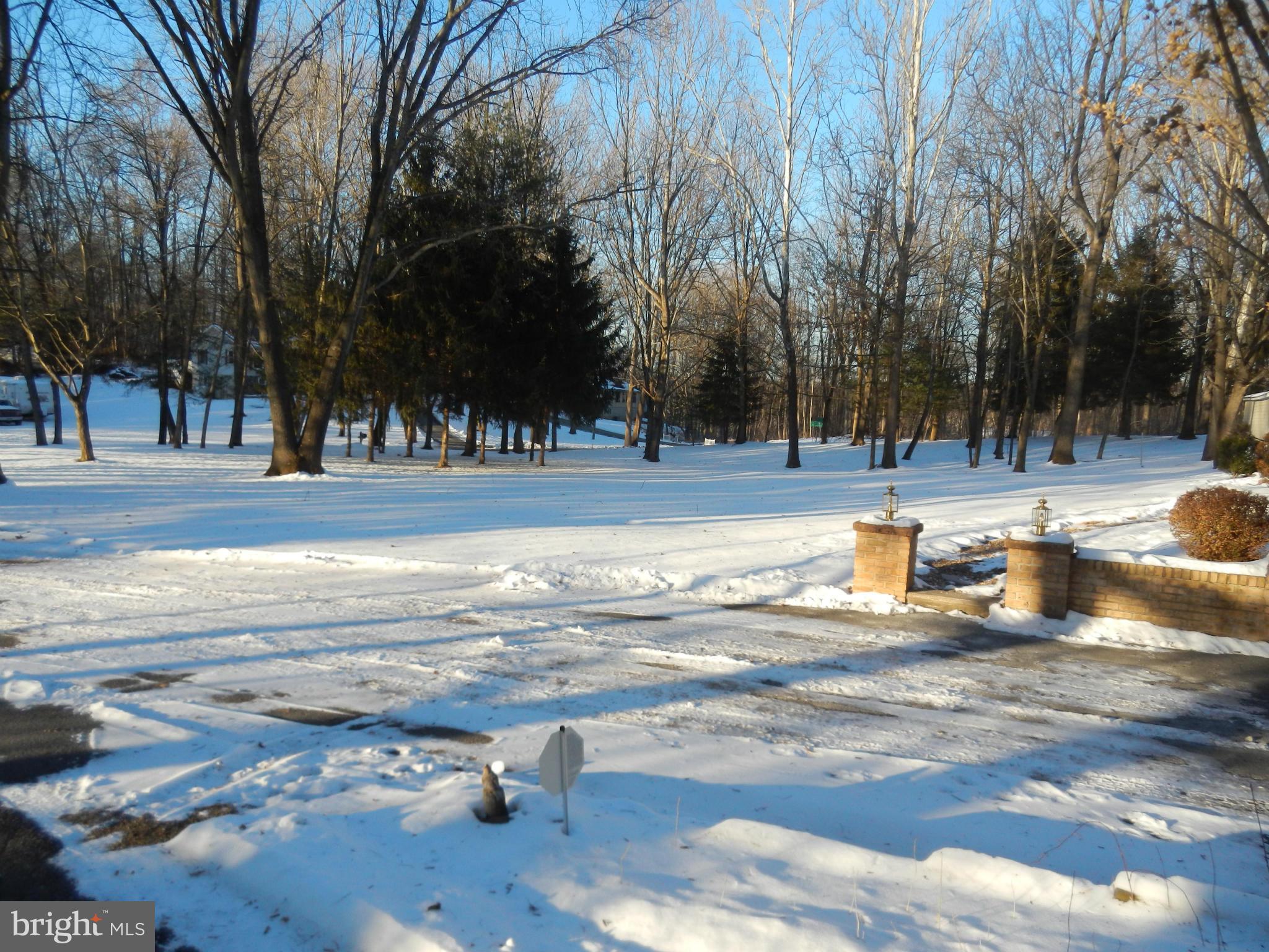 562 Lockhouse Road Falling Waters, WV 25419 - Photo 7 of 29 a view of a yard with trees