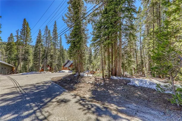 a view of a backyard with large trees