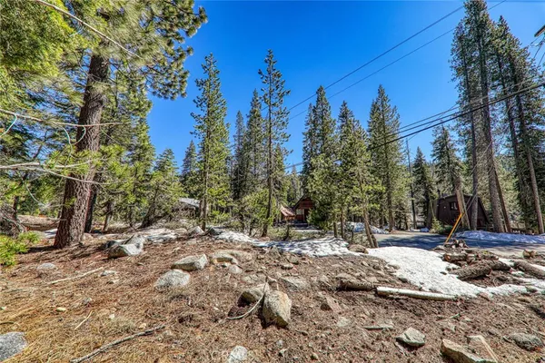 a view of outdoor space with trees