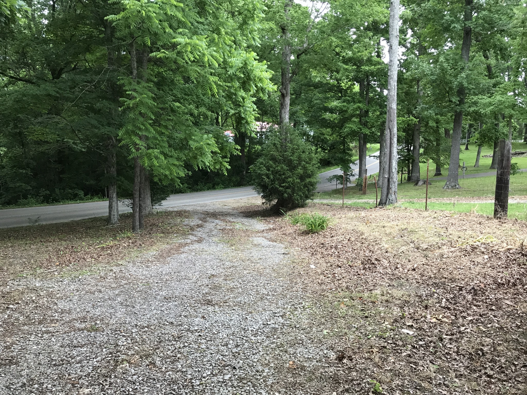 811 Gholson Road Clarksville, TN 37043 - Photo 2 of 25 a view of outdoor space with trees