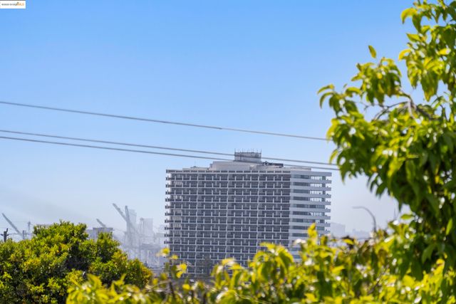 a view of a bunch of flowers