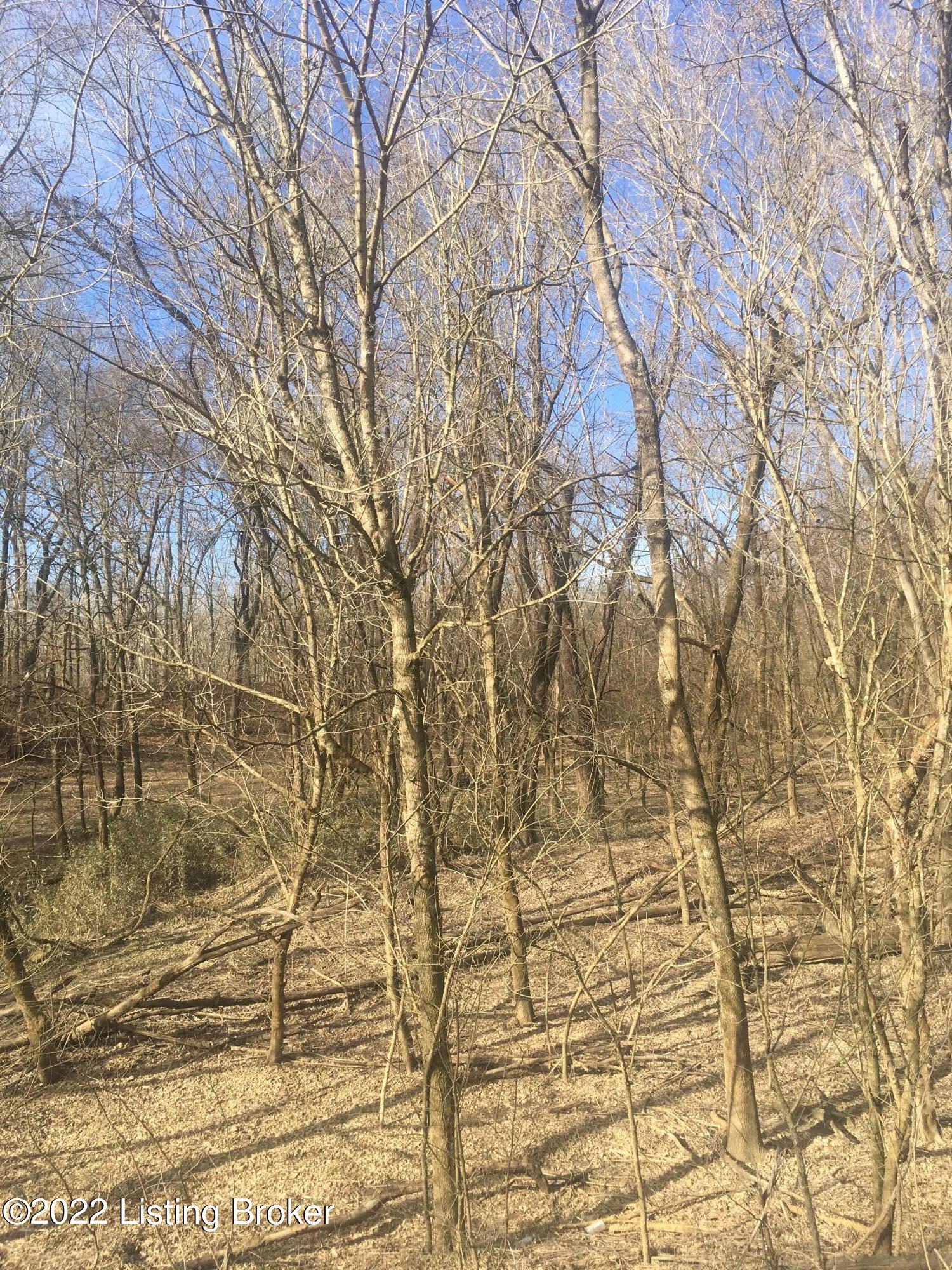 5 Beech Grv Road Shepherdsville, KY 40165 - Photo 1 of 5 land 7