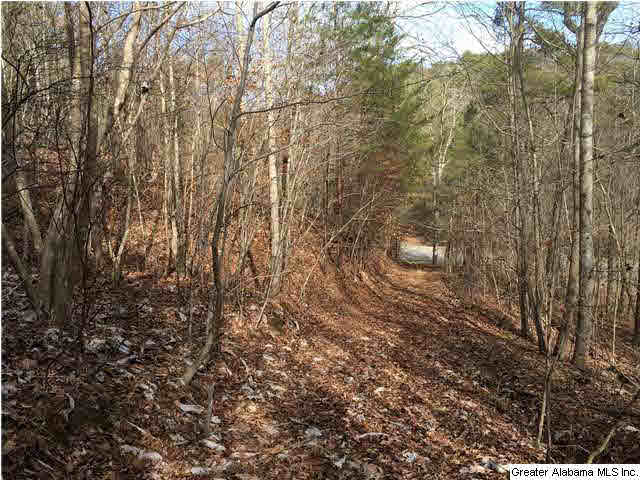 734 Valley Grove Road, Unit 15 4 ACR Remlap, AL 35133 - Photo 14 of 32