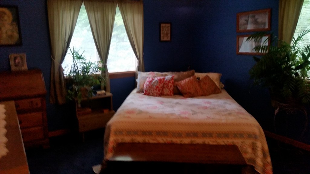 351 Quaddick Road Thompson, CT 06277 - Photo 26 of 28 a bedroom with a bed and a potted plant