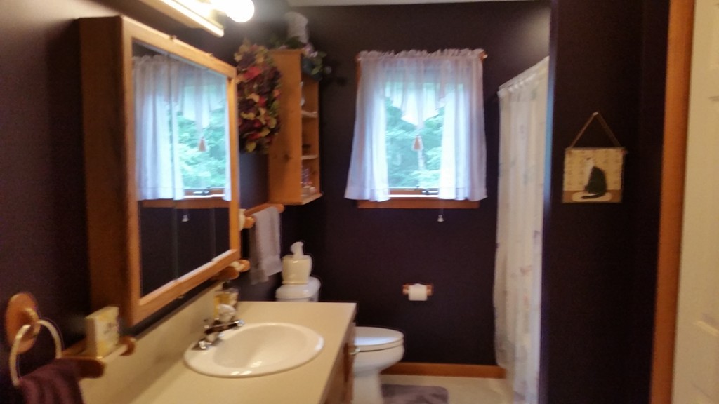 351 Quaddick Road Thompson, CT 06277 - Photo 27 of 28 a bathroom with a sink toilet and shower