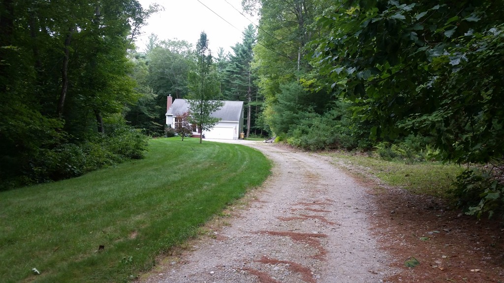 351 Quaddick Road Thompson, CT 06277 - Photo 3 of 28 a view of a yard with potted plants and large trees