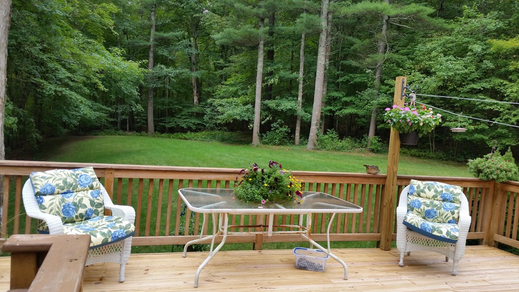 351 Quaddick Road Thompson, CT 06277 - Photo 5 of 28 a view of an outdoor sitting space