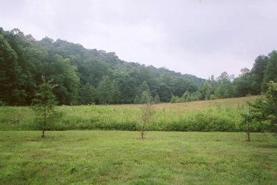 381 Rayborn Hill Road Liberty, KY 42539 - Photo 1 of 8 Photo 1