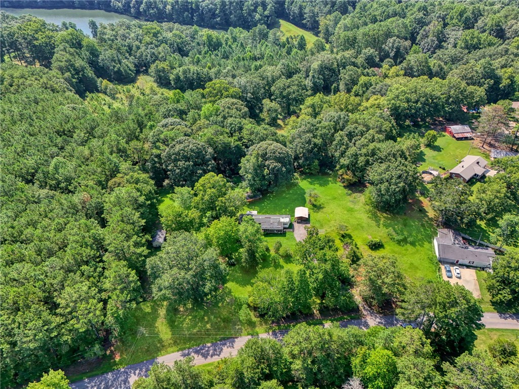 1504 Park Ridge Drive Seneca, SC 29672 - Photo 6 of 16 Mature woodlands and open green space surround this secluded property near the water.