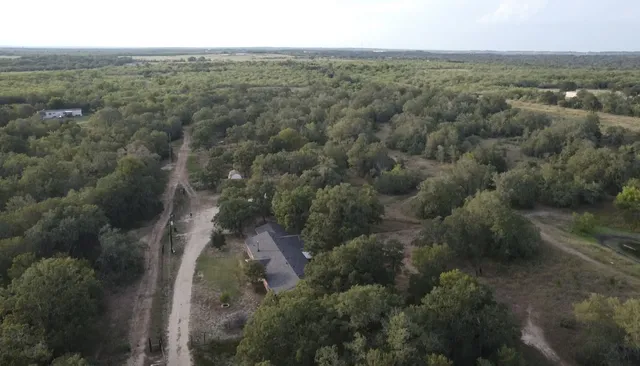an aerial view of forest