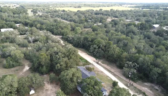 a view of a city with lush green forest