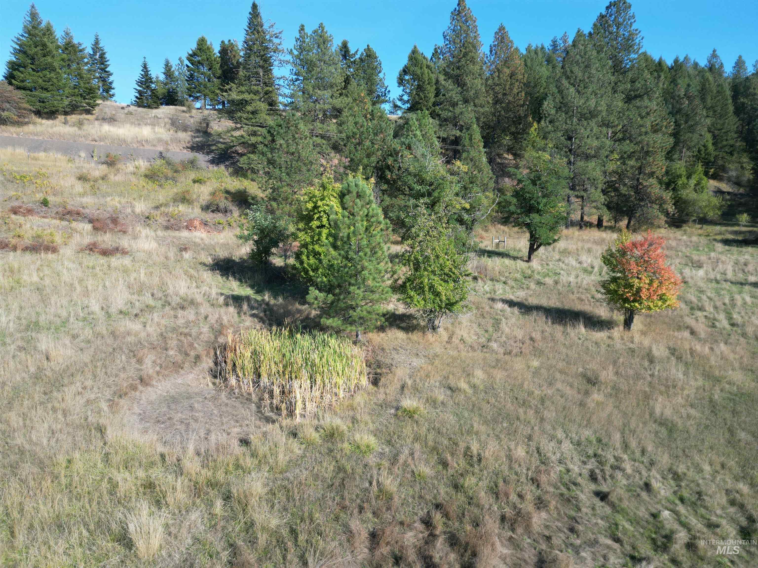 4099 Lakeview Road Orofino, ID 83544 - Photo 34 of 41 Expansive natural landscape with varied terrain and mature evergreen trees