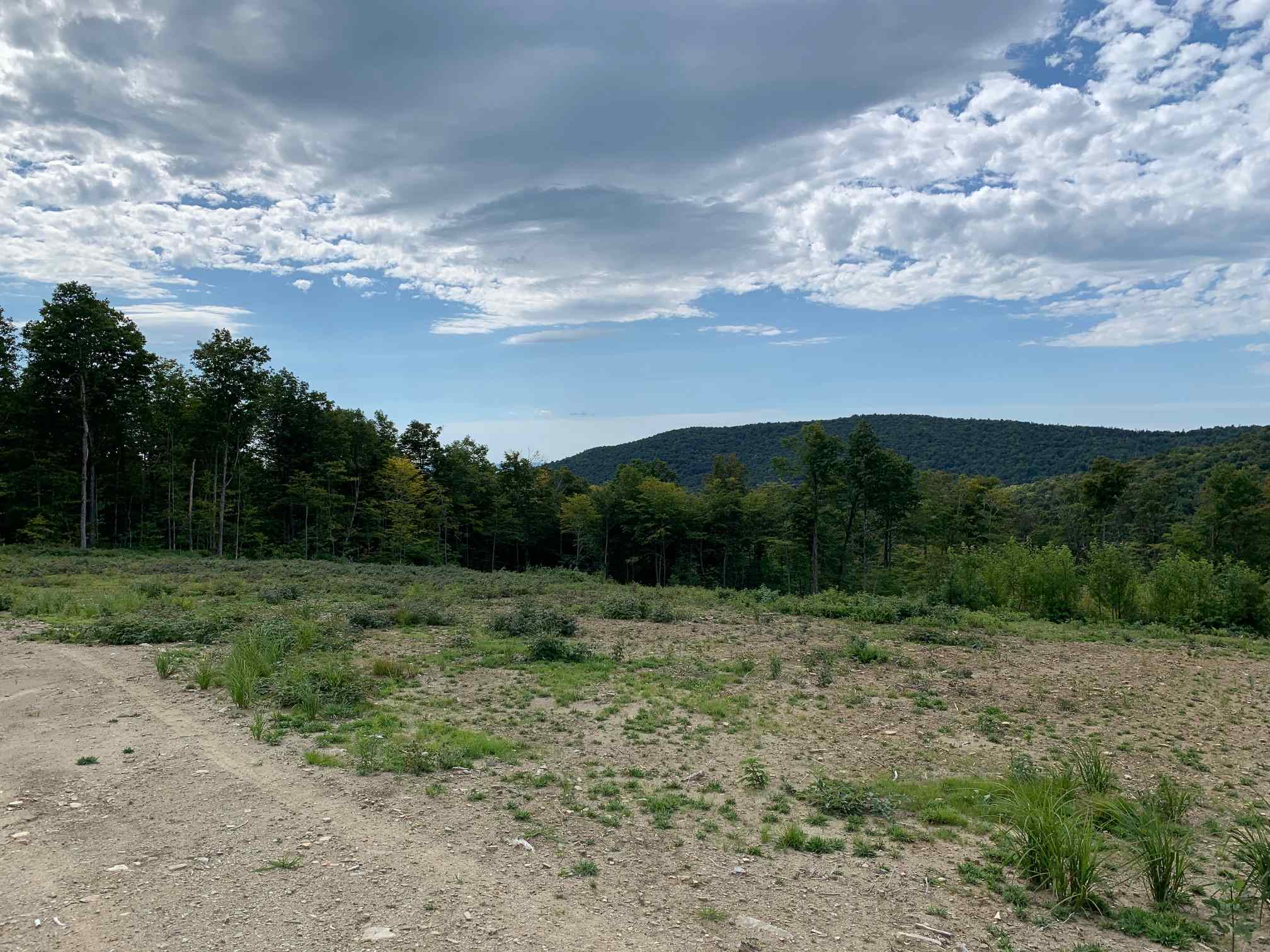 0 Cram Hill Road Roxbury, VT 05669 - Photo 1 of 4