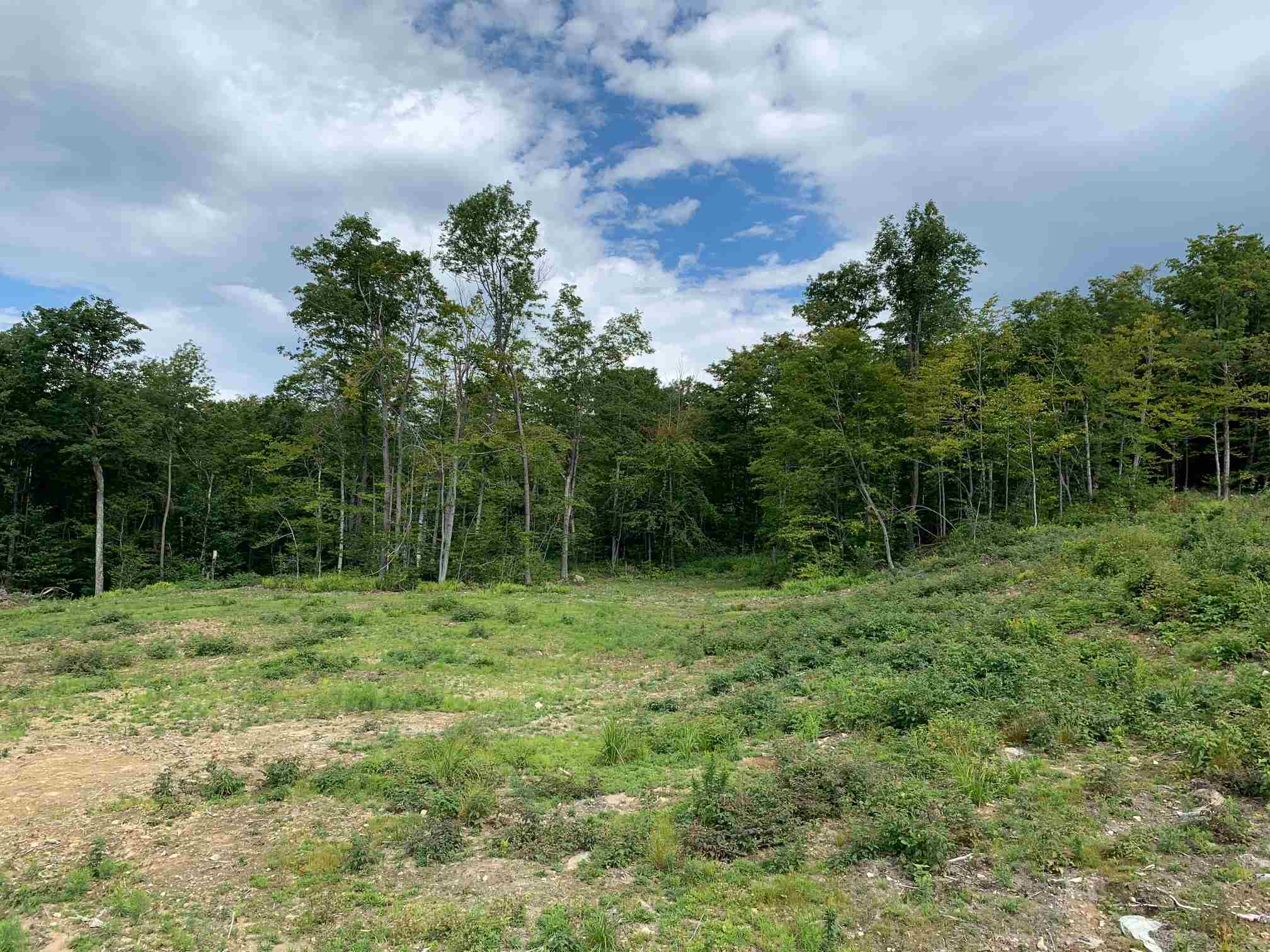 0 Cram Hill Road Roxbury, VT 05669 - Photo 2 of 4