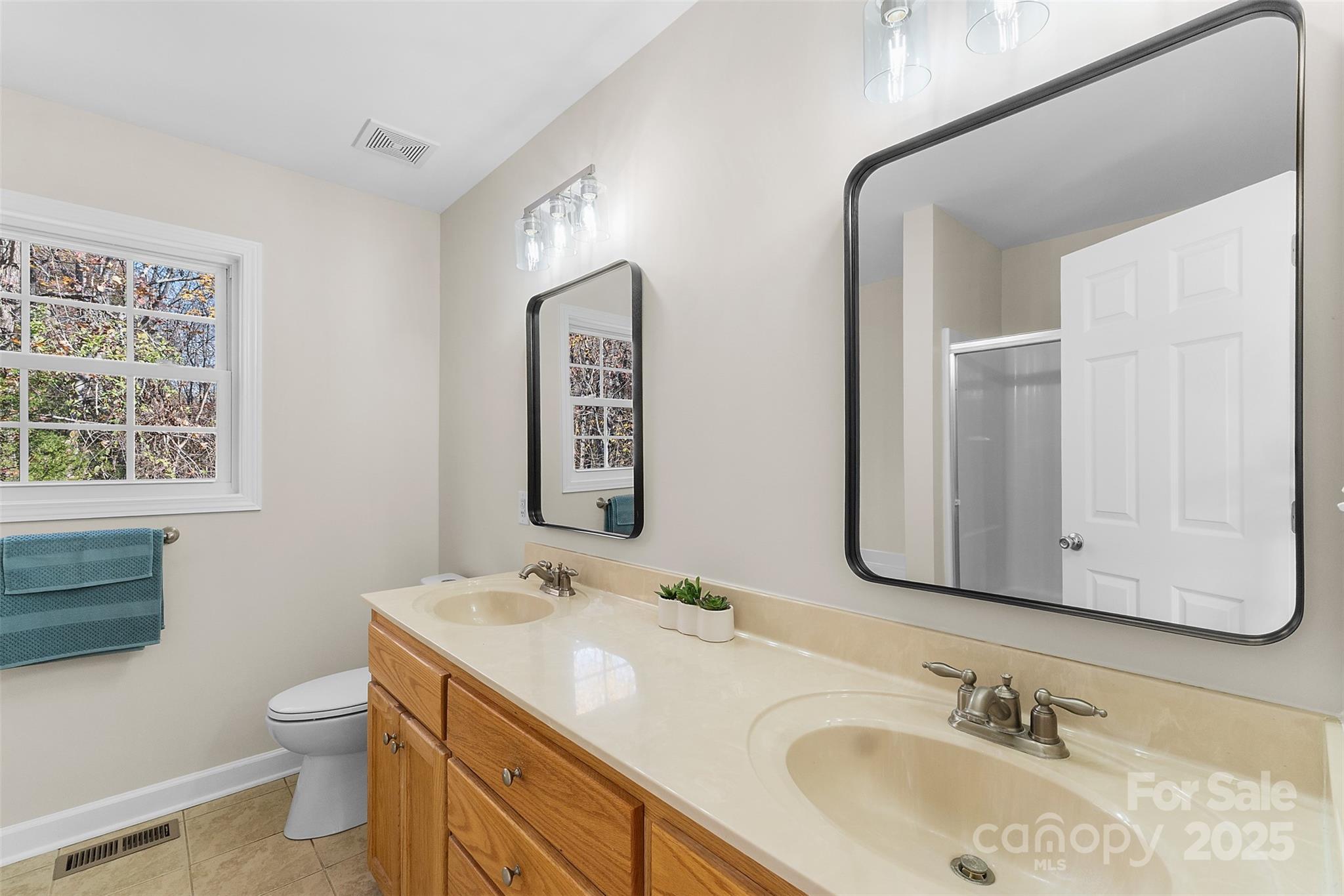 490 Rutledge Drive Catawba, SC 29704 - Photo 16 of 33 a bathroom with a sink and a toilet