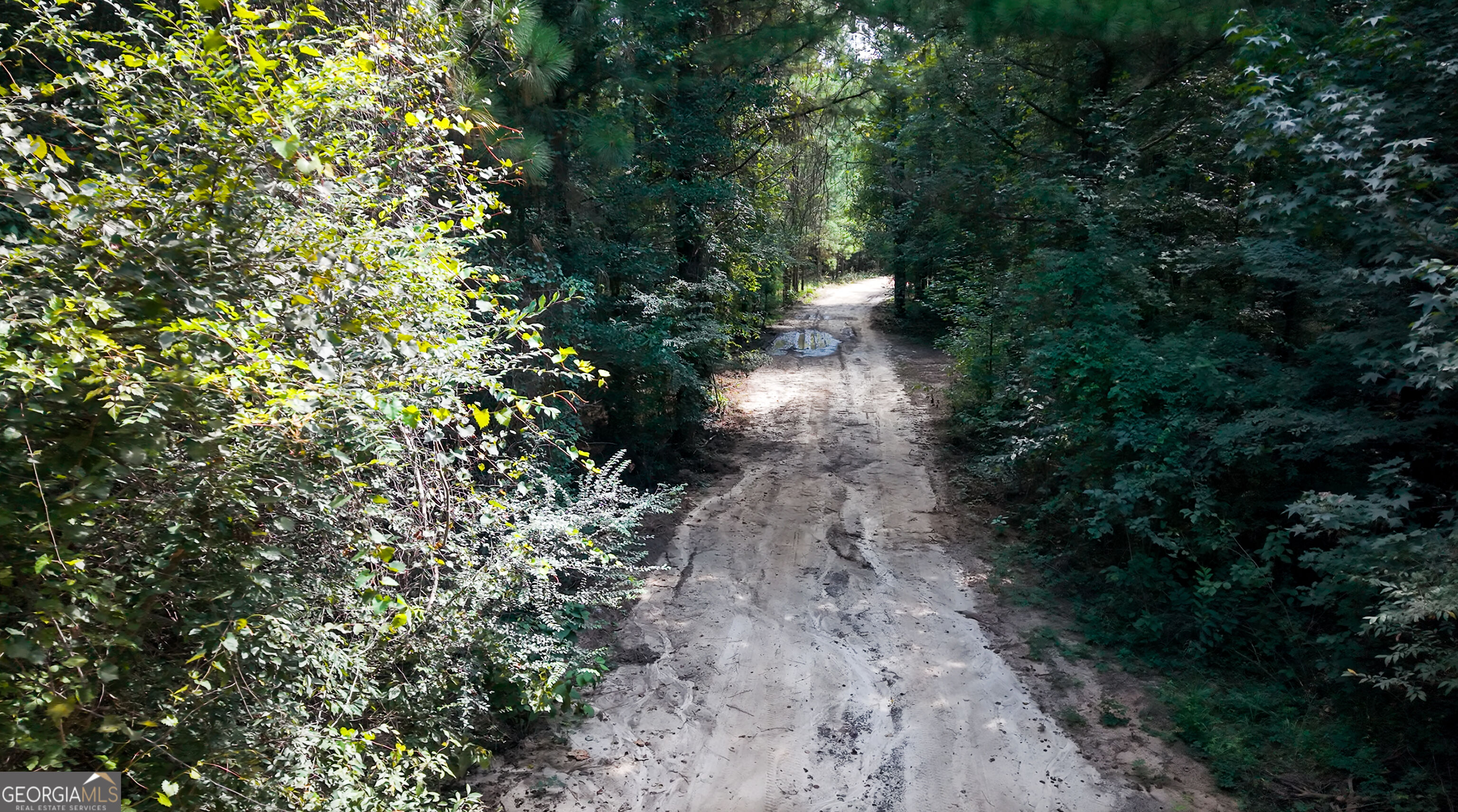 0 River Road Montezuma, GA 31063 - Photo 17 of 17 Gallery Image 17