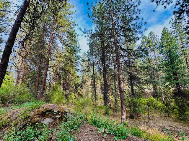 $120,000 | 3603 West Rosamond Avenue, Spokane, WA 99224