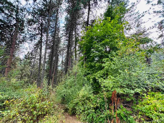 $120,000 | 3603 West Rosamond Avenue, Spokane, WA 99224