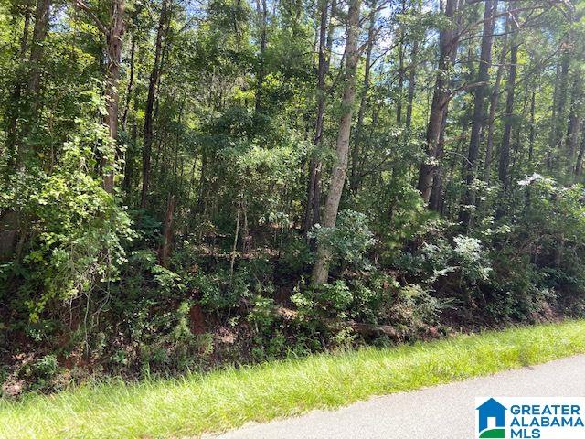 0 County Road 89, Unit 1 Clanton, AL 35046 - Photo 13 of 17