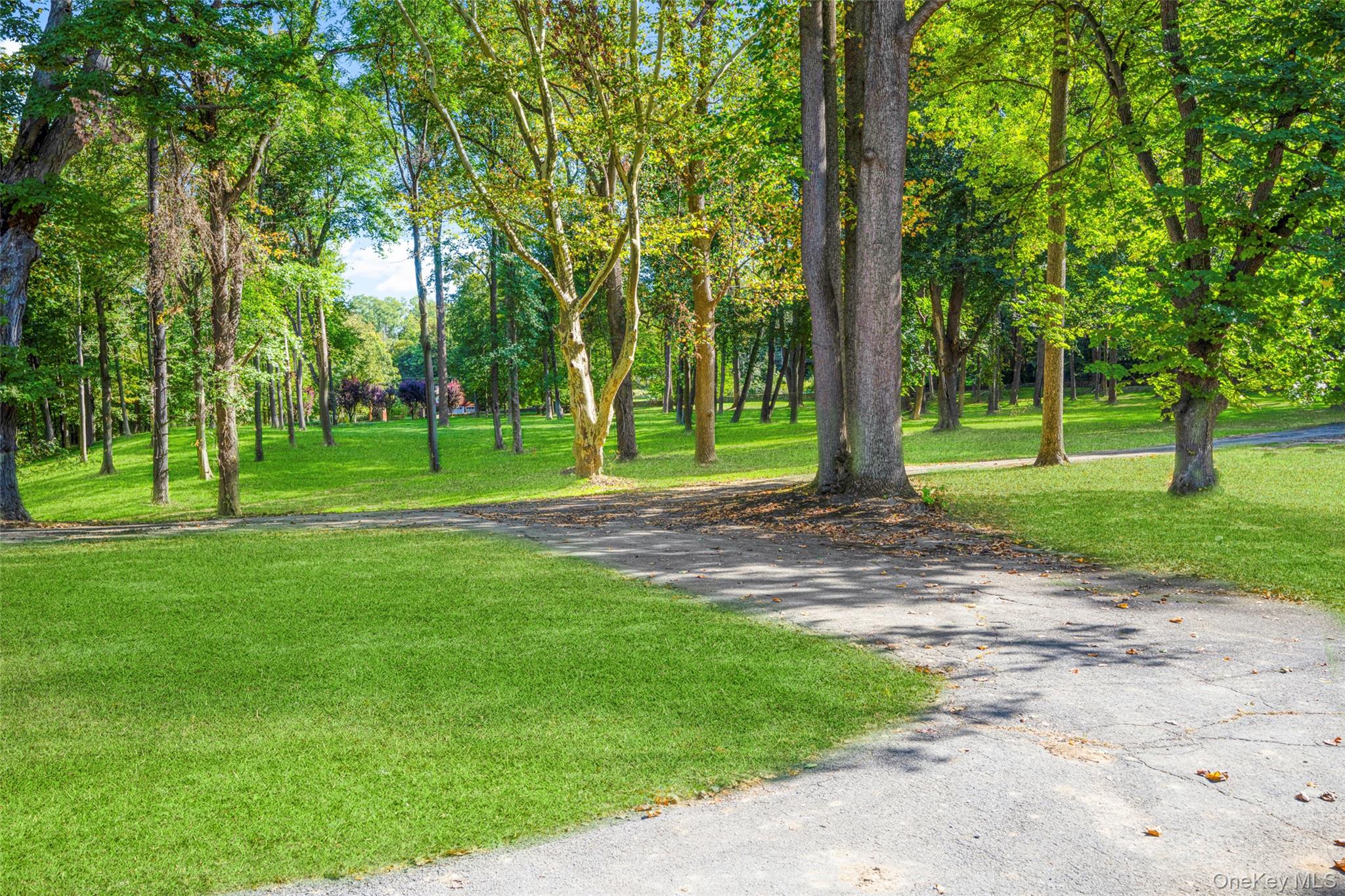 Wheeler Hill Road Wappingers Falls, NY 12590 - Photo 15 of 29 a view of a park with large trees