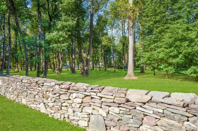 a view of a park with of trees
