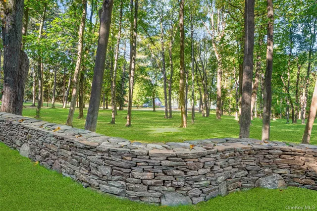 a view of a park with large trees