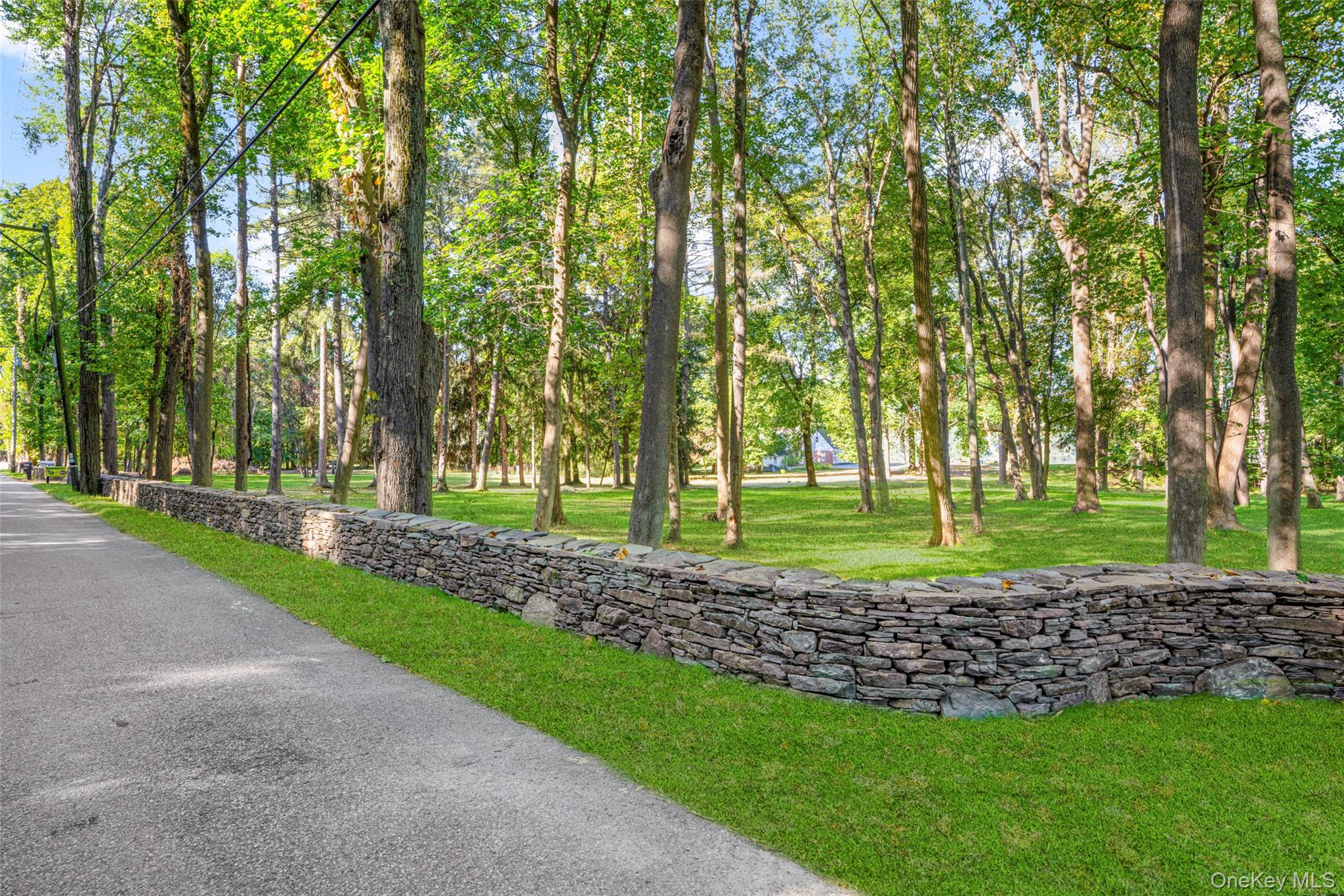 Wheeler Hill Road Wappingers Falls, NY 12590 - Photo 10 of 29 a view of a park that has large trees