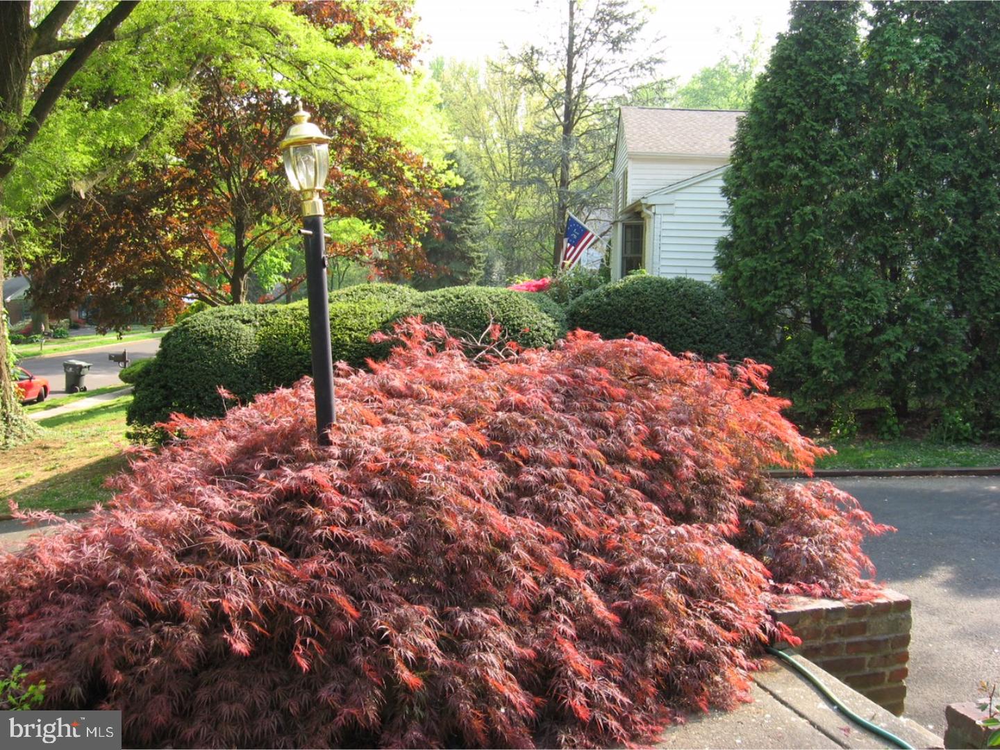 1832 Sharon Road Jenkintown, PA 19046 - Photo 25 of 25
