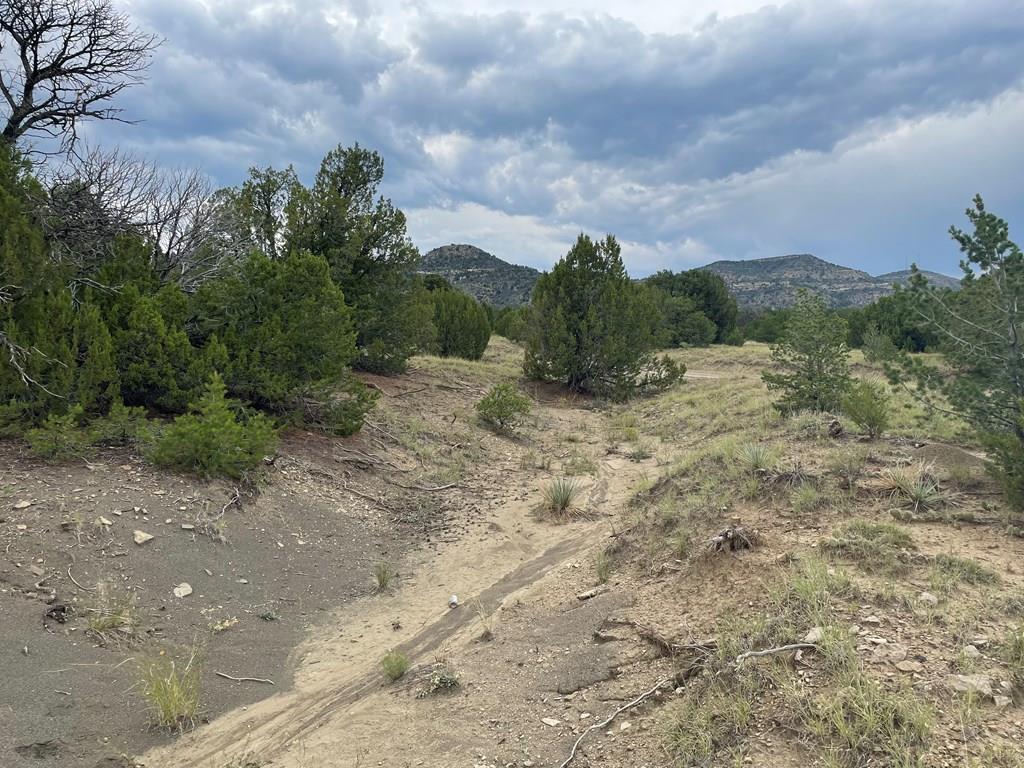 Tbd(#93 Rancho Verde Road Trinidad, CO 81082 - Photo 15 of 20 Gallery Image 15