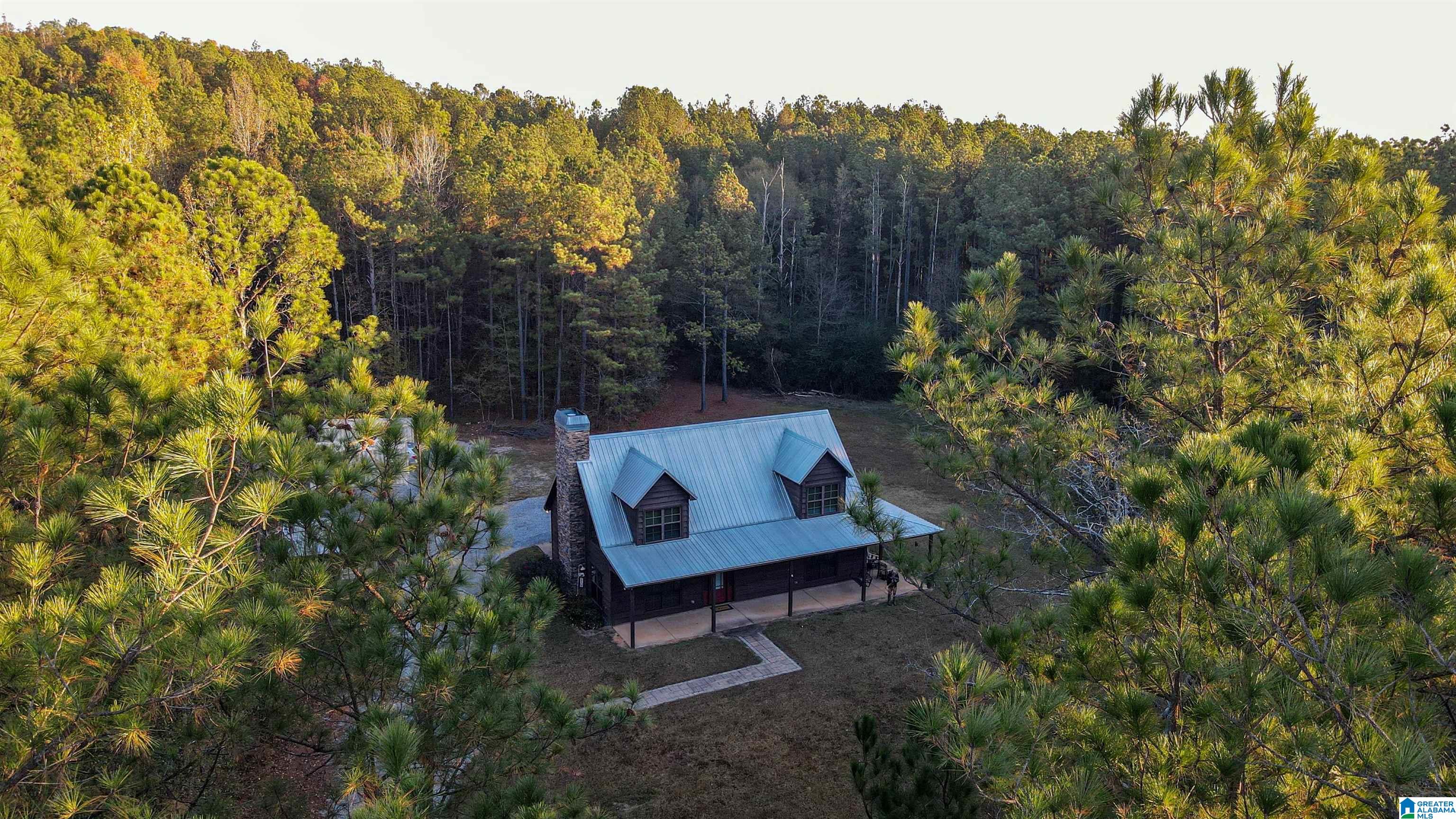 1624 Fleming Road Vincent, AL 35178 - Photo 49 of 54