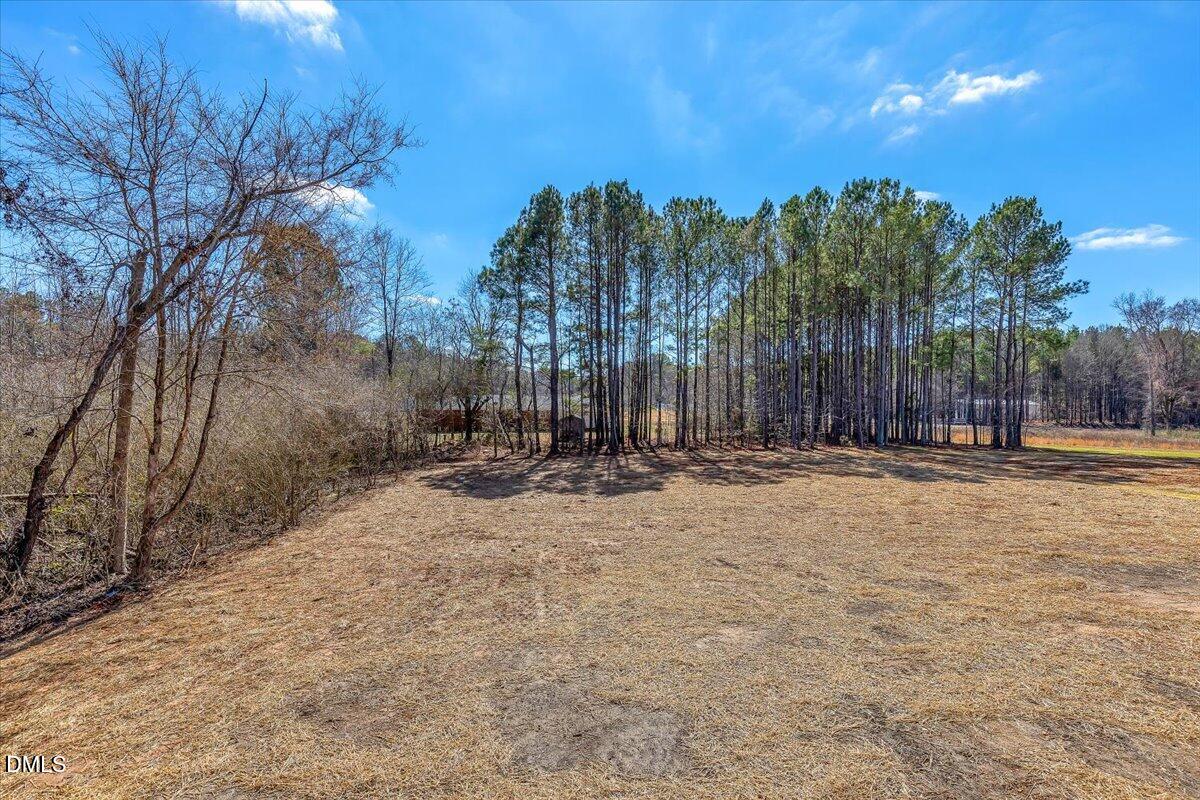 12615 Mallard Rock Drive Zebulon, NC 27597 - Photo 60 of 89 a view of outdoor space with trees