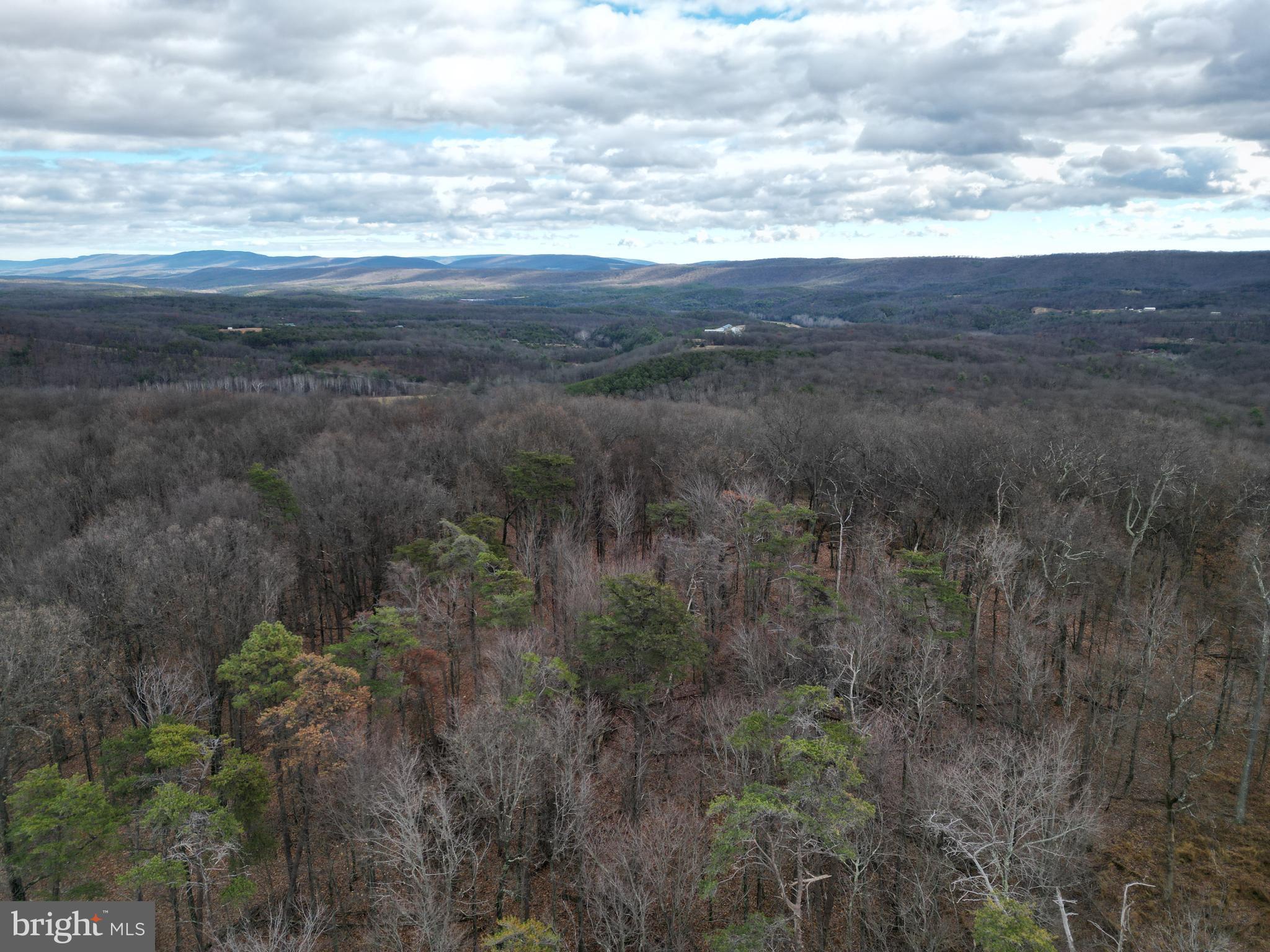 Lot 70-71 Mill Mountain Road Romney, WV 26757 - Photo 46 of 52