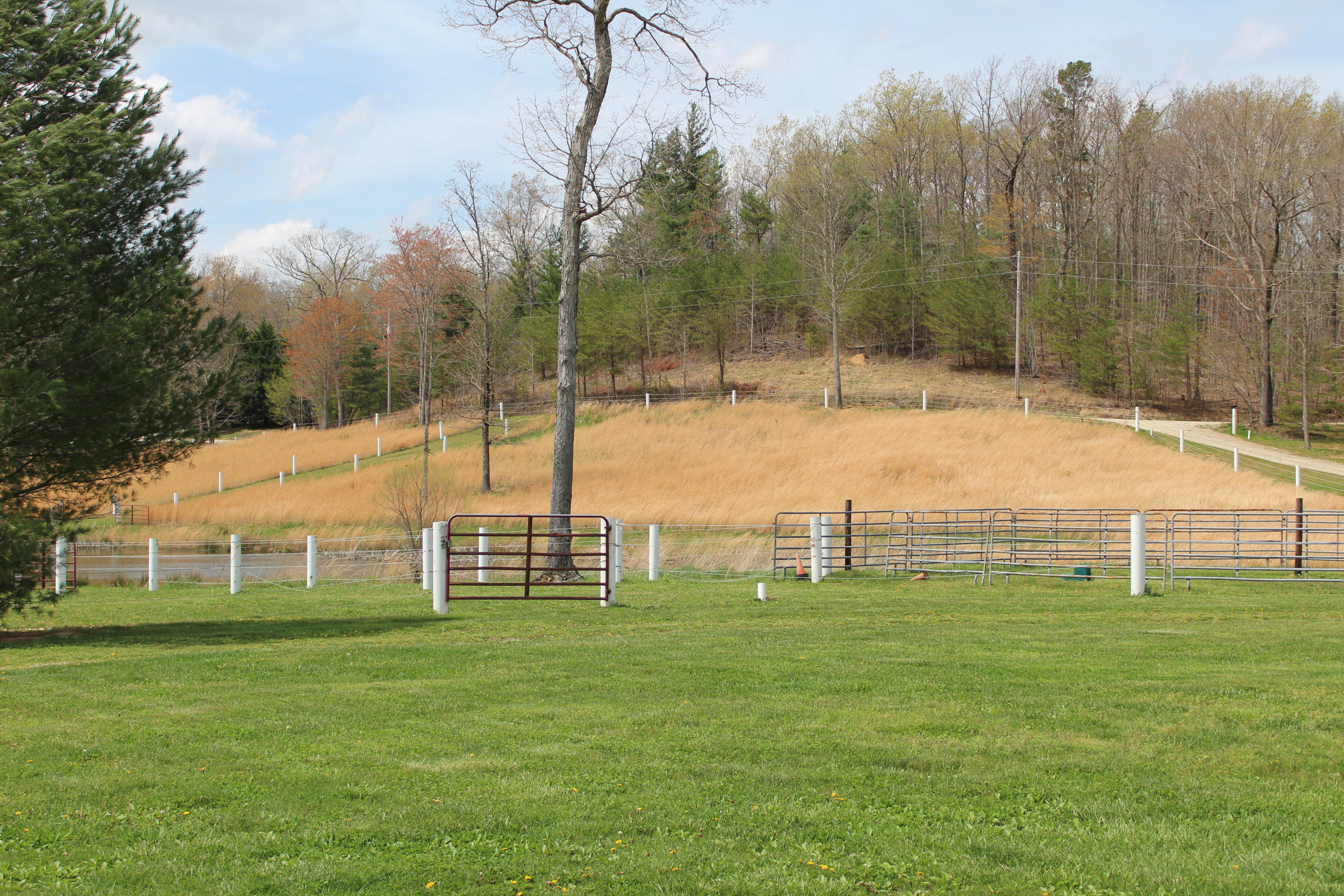 430 Ridge Top Circle Sunbright, TN 37872 - Photo 17 of 27 IMG_3037