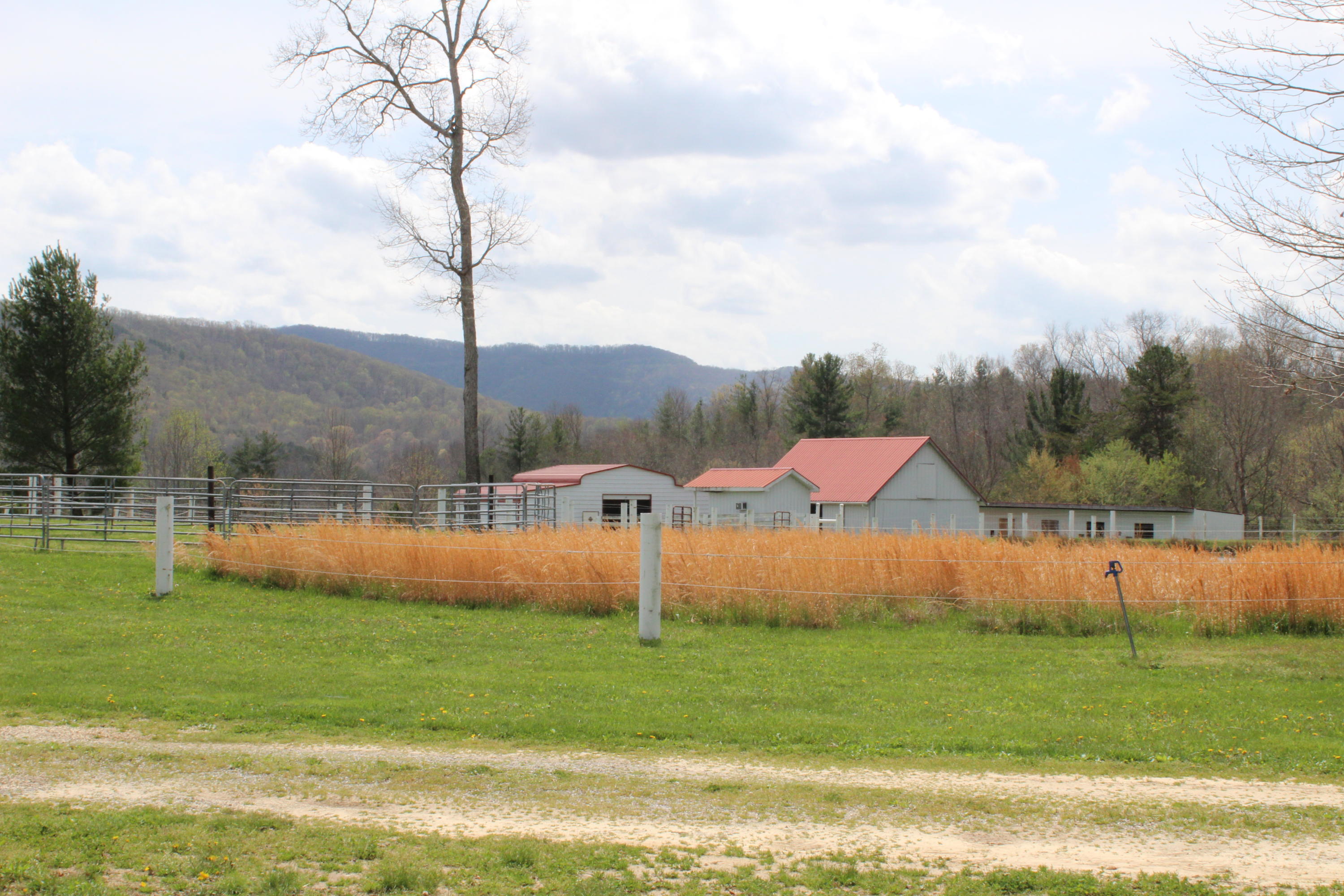 430 Ridge Top Circle Sunbright, TN 37872 - Photo 20 of 27 IMG_3040