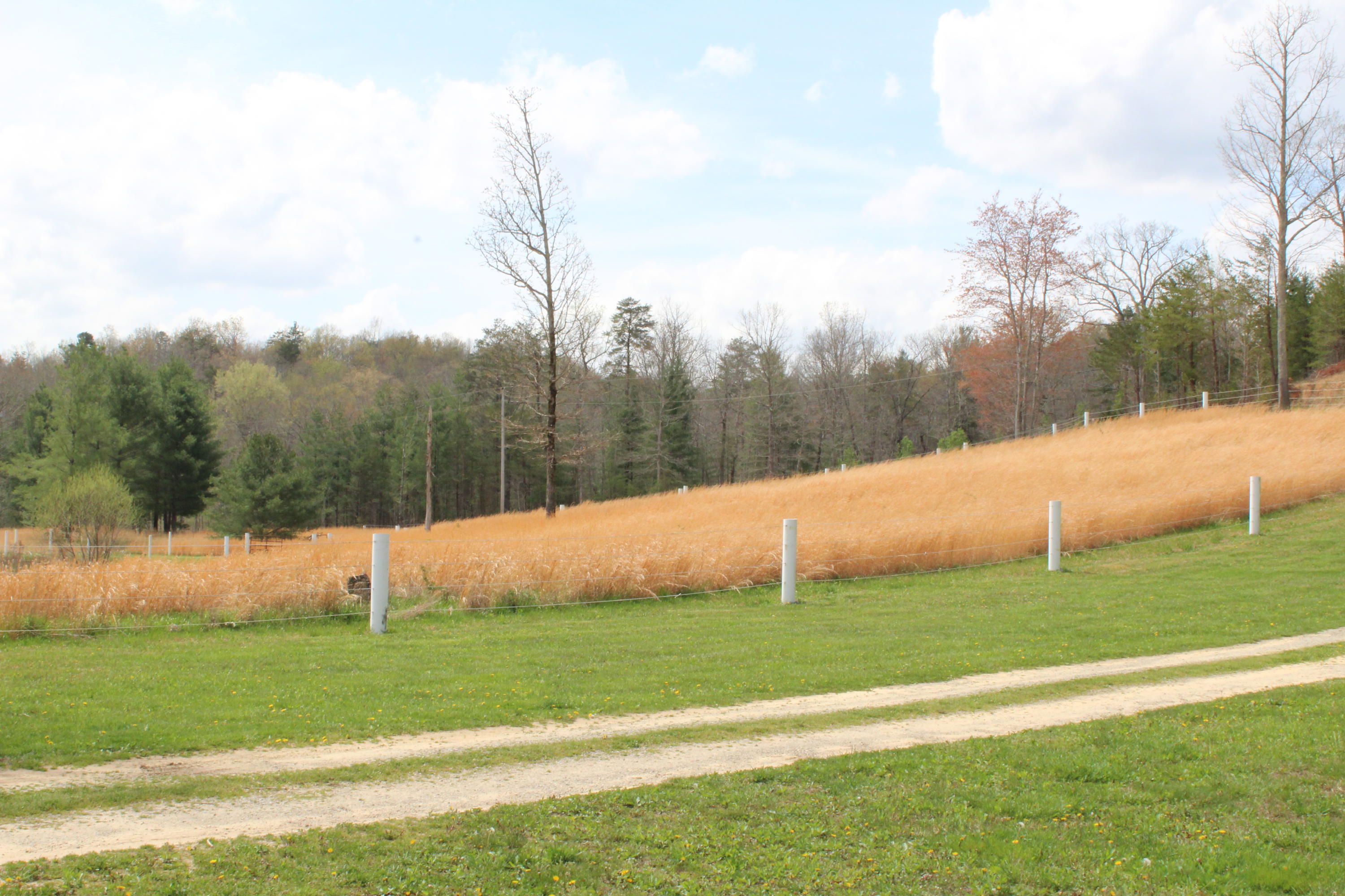 430 Ridge Top Circle Sunbright, TN 37872 - Photo 22 of 27 IMG_3042