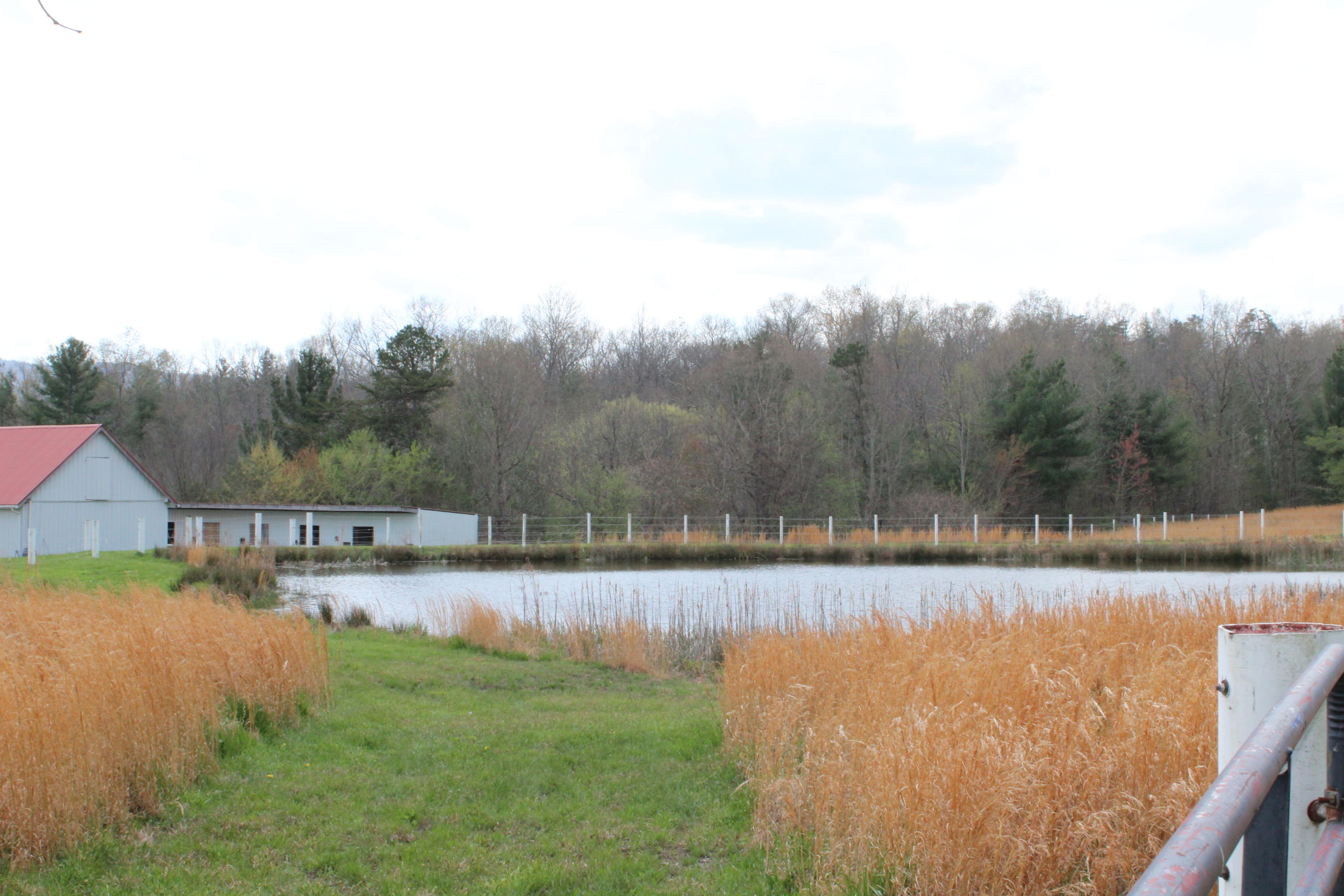 430 Ridge Top Circle Sunbright, TN 37872 - Photo 25 of 27 IMG_3045