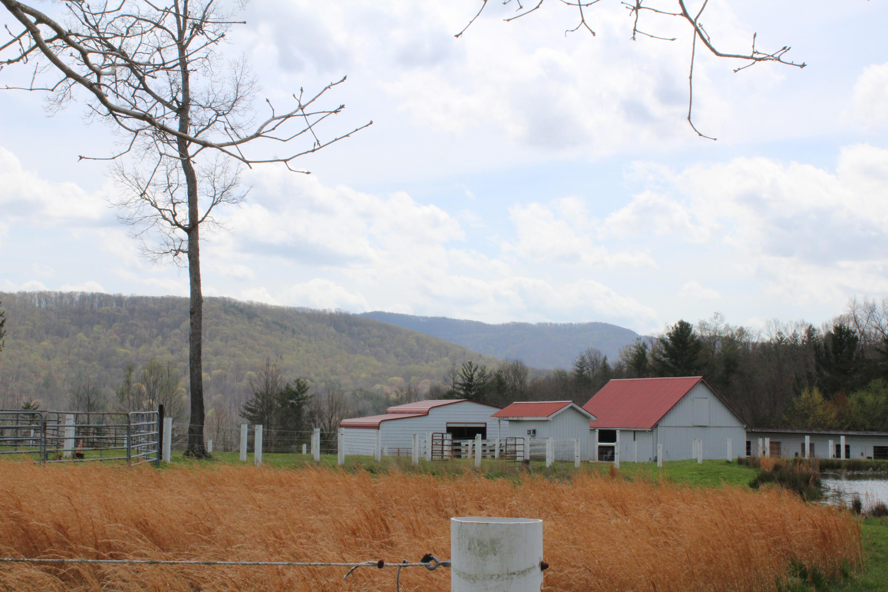 430 Ridge Top Circle Sunbright, TN 37872 - Photo 26 of 27 IMG_3046
