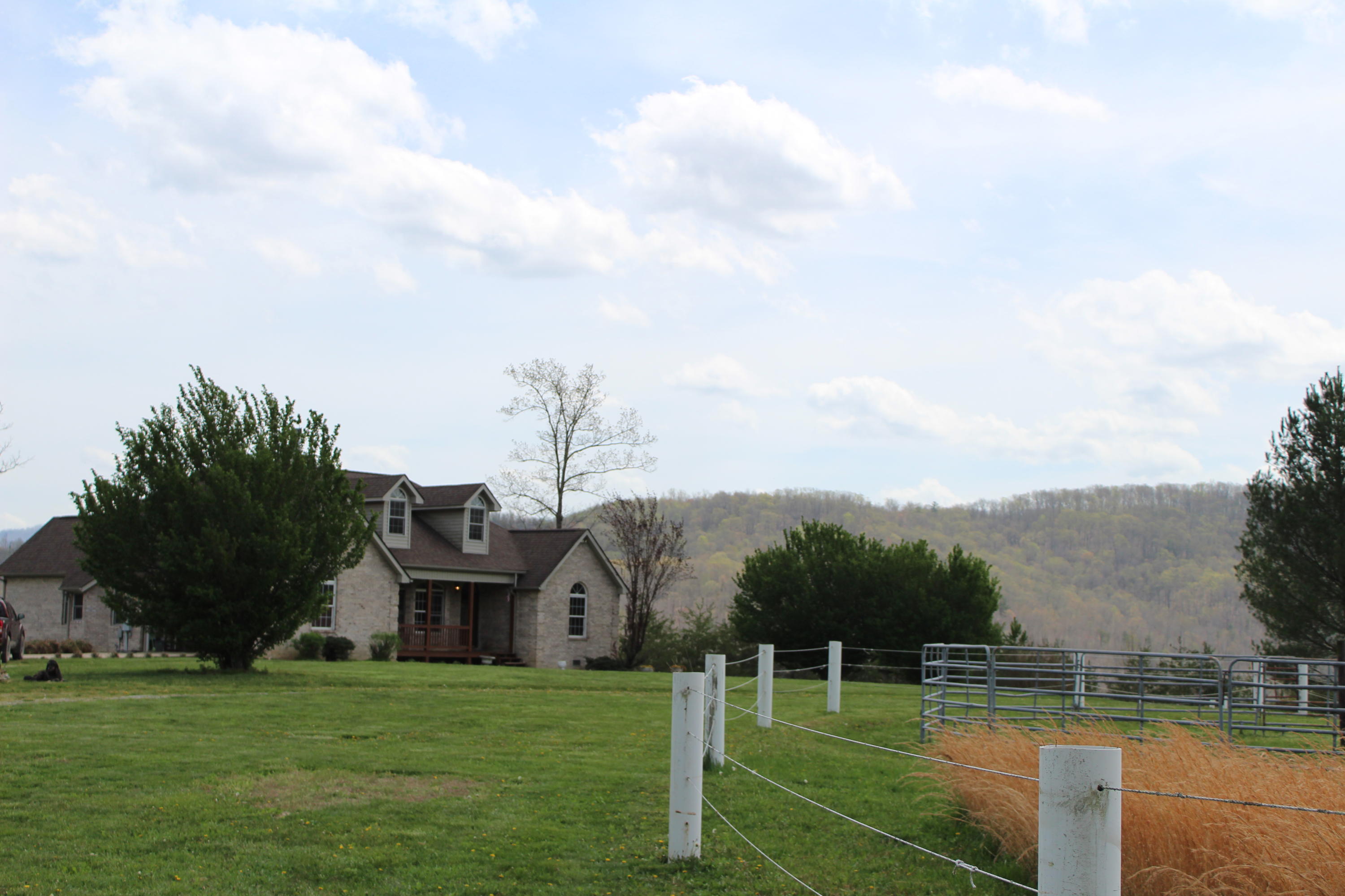 430 Ridge Top Circle Sunbright, TN 37872 - Photo 27 of 27 IMG_3047