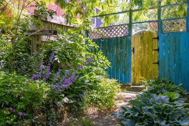 a view of a garden with plants