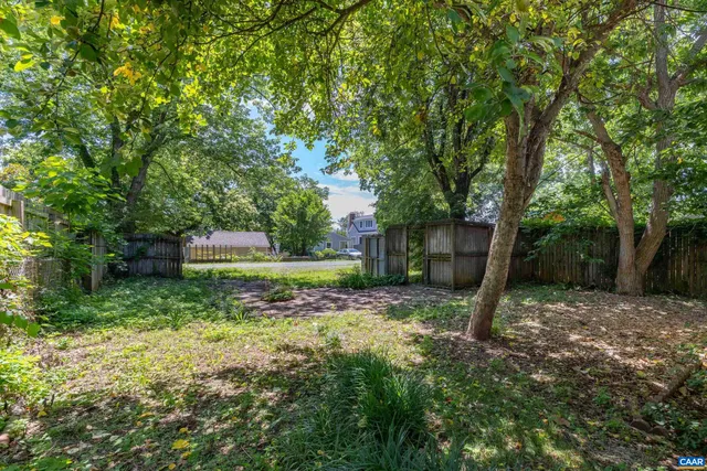 a view of a tree in a yard