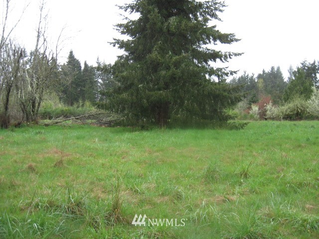 21849 Lee Road Southwest Centralia, WA 98531 - Photo 3 of 6