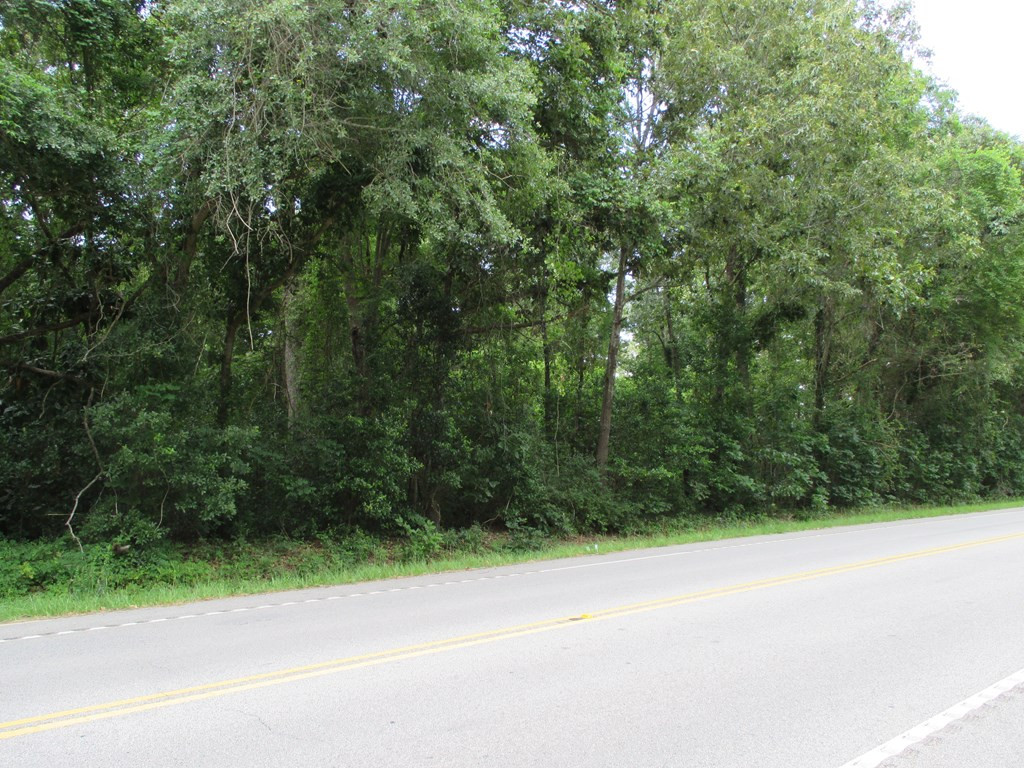 1824 Pinewood Road Sumter, SC 29154 - Photo 2 of 4