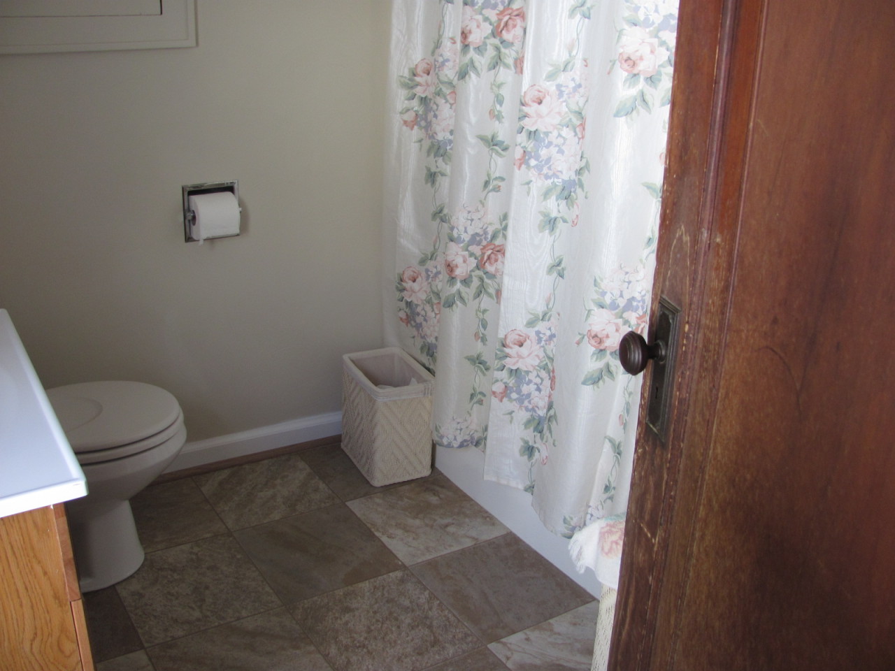 88 Willow Spring Road Troutville, VA 24175 - Photo 20 of 31 Bathroom