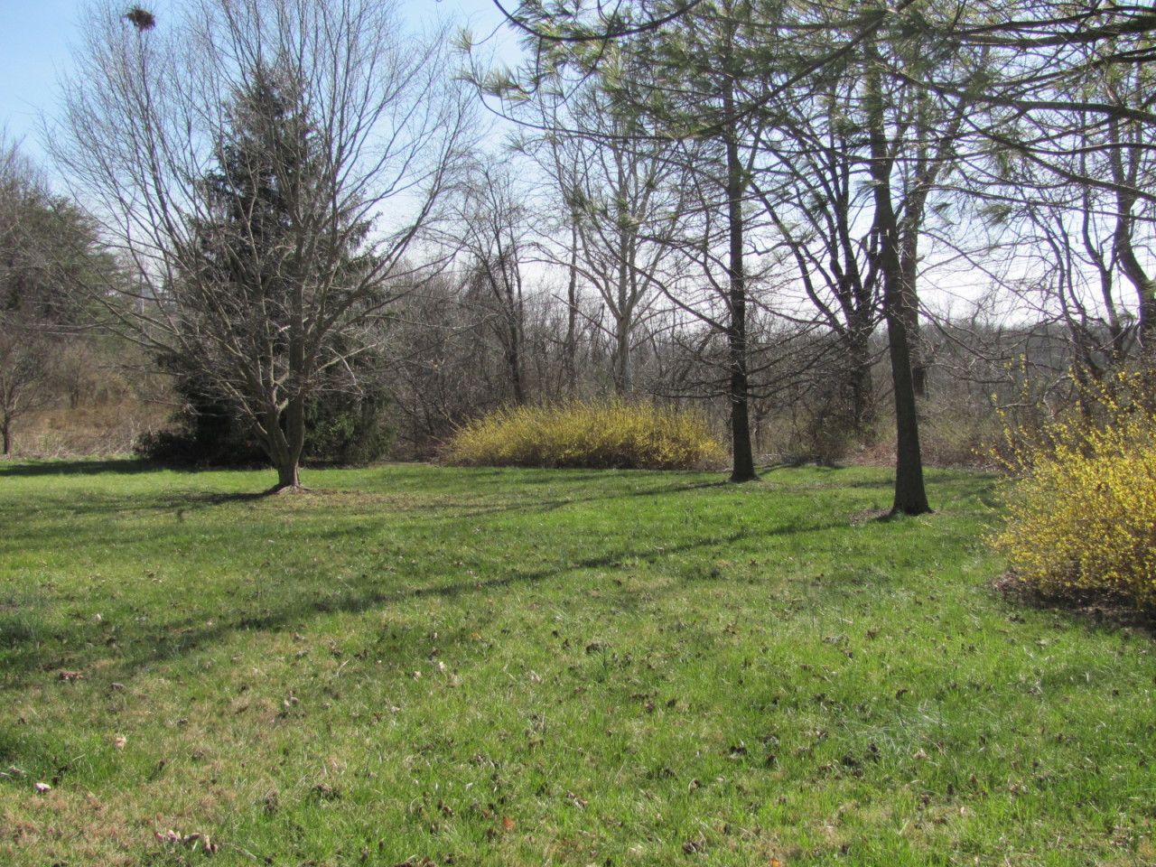 88 Willow Spring Road Troutville, VA 24175 - Photo 23 of 31 Back yard
