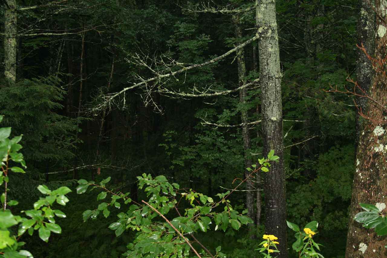 0 Red Barn Road Quechee, VT 05059 - Photo 1 of 1 Gallery Image 1
