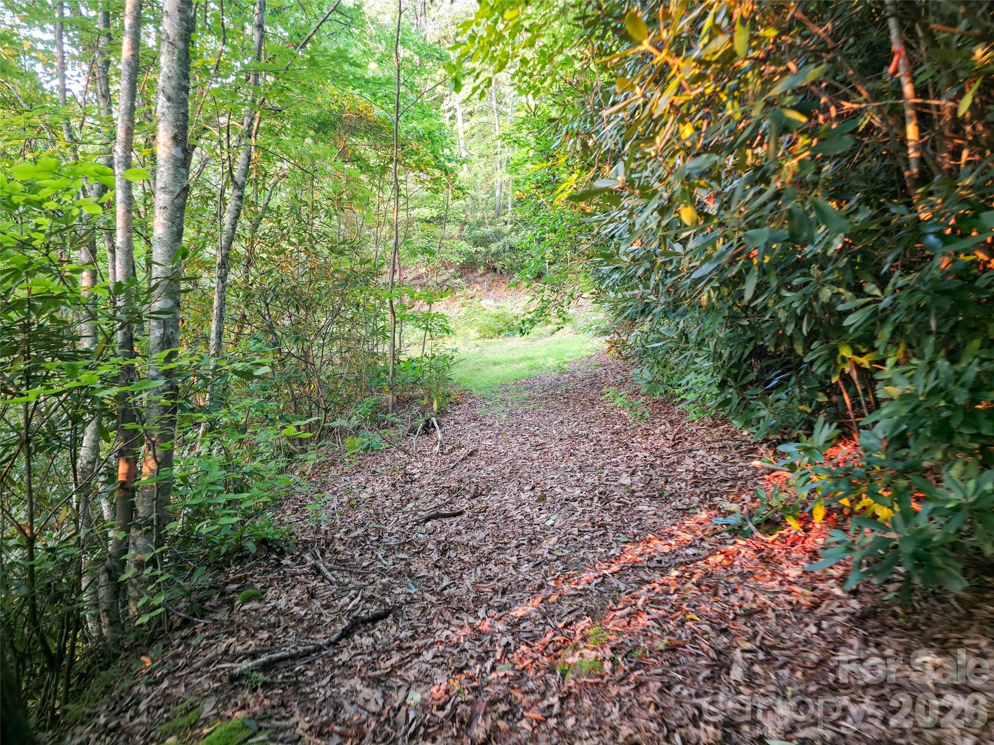 B1-b4 Anglers Ridge Waynesville, NC 28786 - Photo 8 of 21 Gallery Image 8