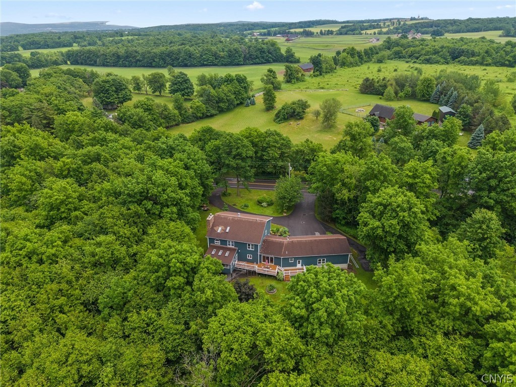 8827 Salt Springs Road Chittenango, NY 13037 - Photo 48 of 50