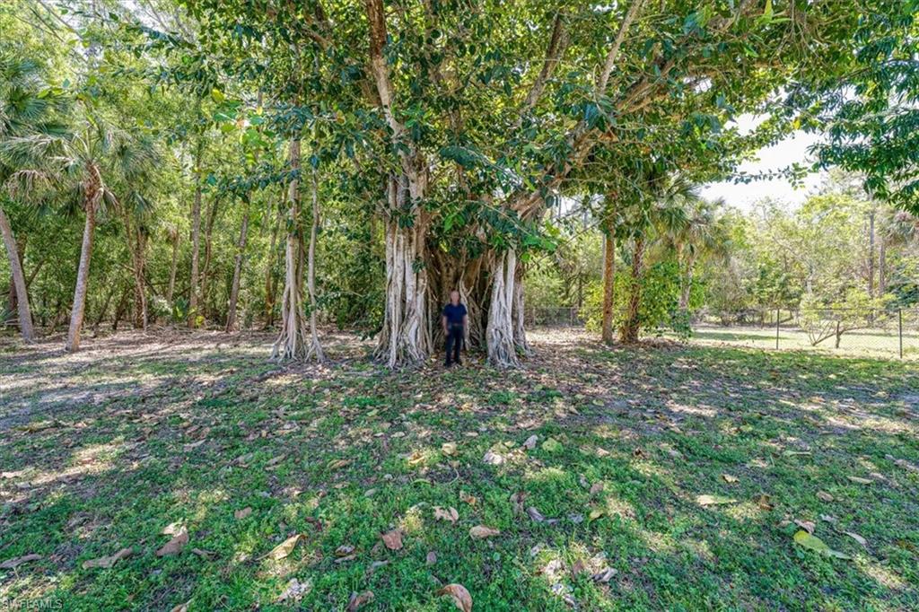 2790 66th Street Southwest Naples, FL 34105 - Photo 14 of 50