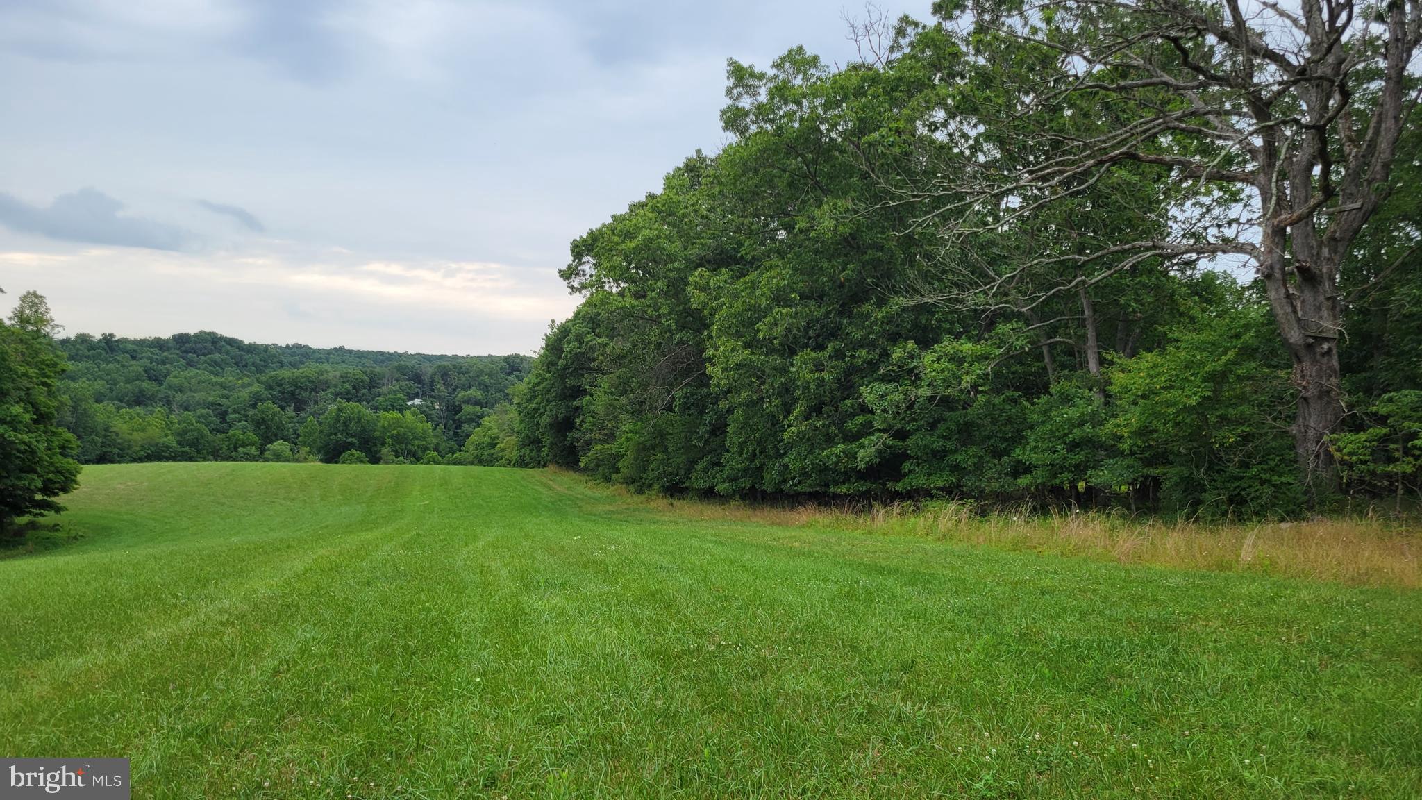 14216 Peddicord Road Mount Airy, MD 21771 - Photo 3 of 11