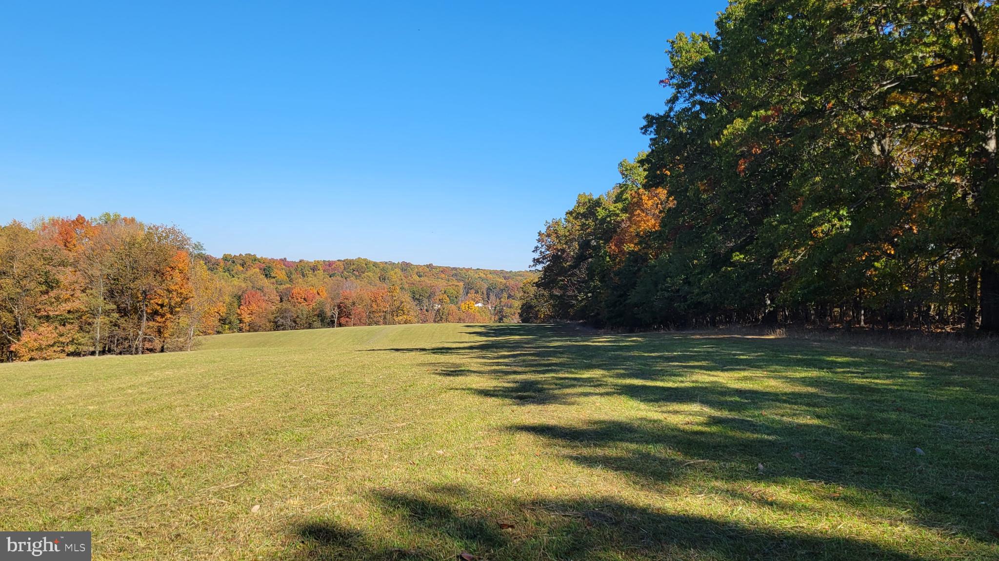 14216 Peddicord Road Mount Airy, MD 21771 - Photo 4 of 11